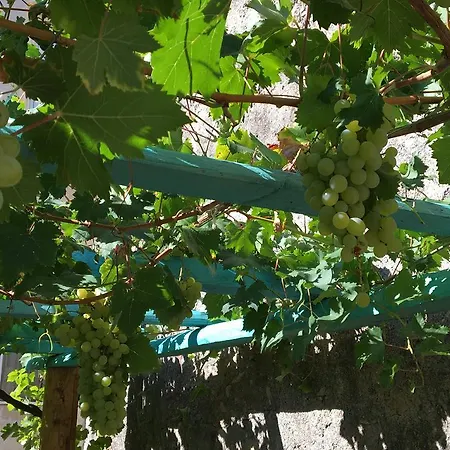 Old Noar Private Tatil Evi